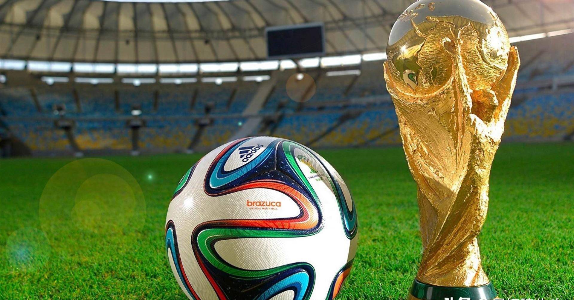 后一分钟抓 后一分钟抓